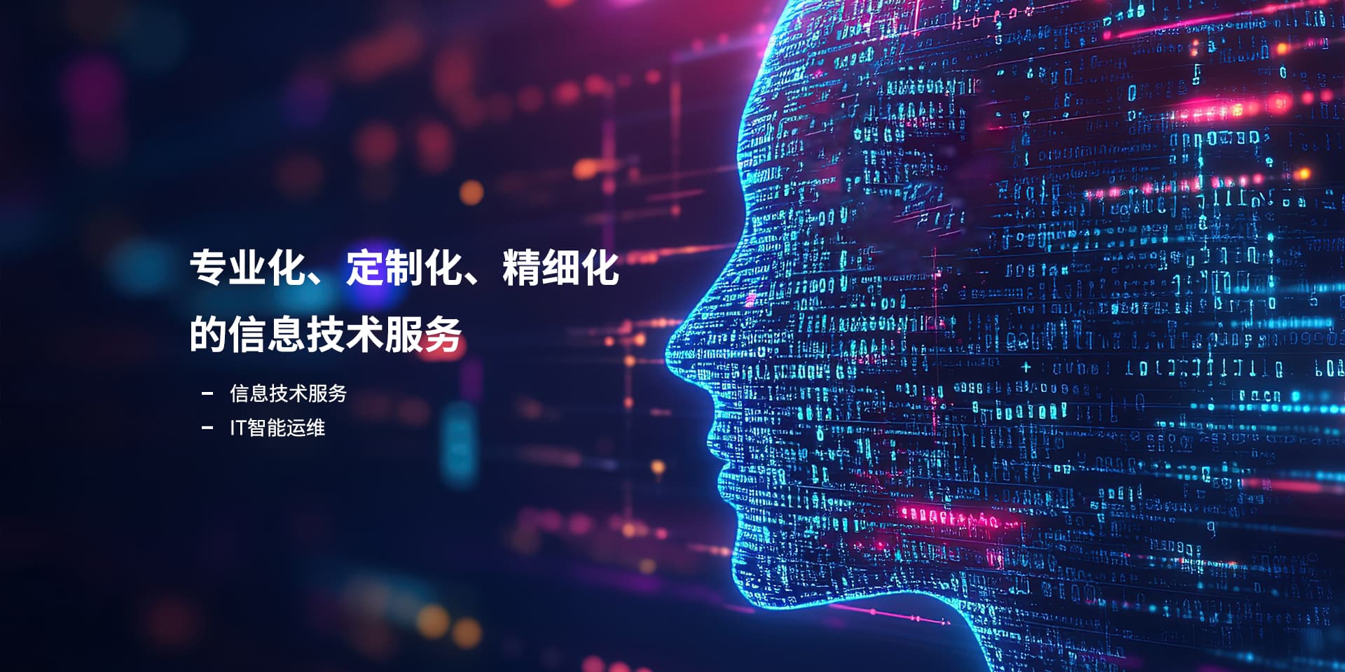 专业化、、、、定制化、、精细化的信息技术服务_94